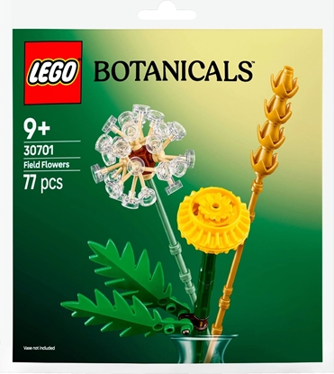 Picture of LEGO Bricks Botanicals 30701 Field Flowers