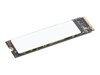Picture of LENOVO 2TB PERF PCIE GEN4 NVME OPAL2 M.2 2280 SSD G3
