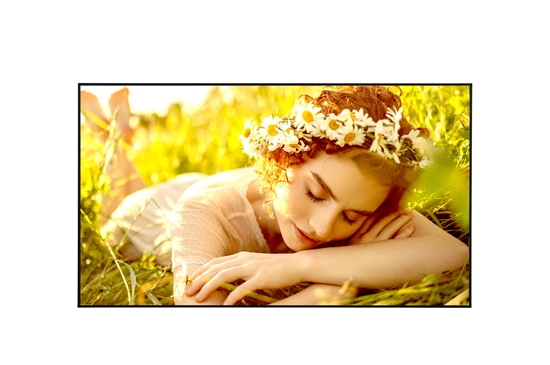Picture of LG 4K UHD Signage | 86UL5Q-E | 86 " | 500 cd/m² | Landscape/Portrait | 24/7 | webOS | 8 ms | 178 ° | 178 °