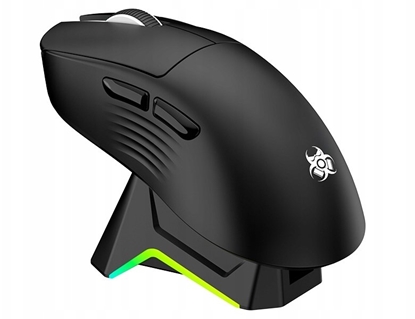 Изображение Mysz Tracer Mysz TRACER GAMEZONE NORD RGB (2.4GHz+BT) RF + Stacja Dokujaca