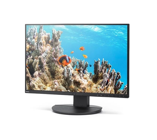 Picture of Monitor MultiSync DD-EA242W 24.1 cala  czarny