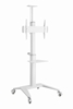 Picture of Monitora stiprinājums Gembird Aluminum TV Floor Stand  with Caster Wheels White