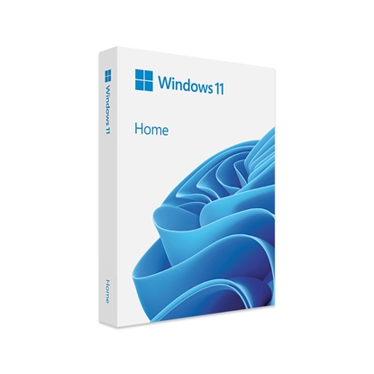 Picture of MS ESD Win Home N 11 64-bit