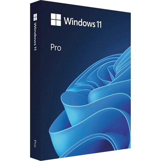 Picture of MS ESD Win Pro N 11 64-bit