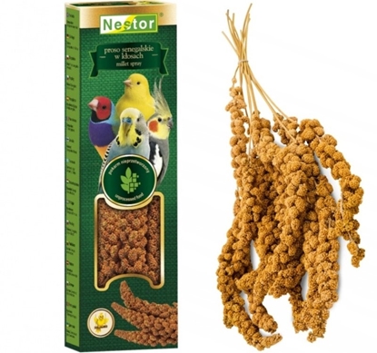 Attēls no Nestor NESTOR PROSO SENEGALSKIE W KOSACH 55g    /40