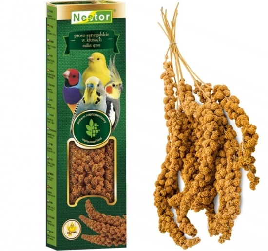 Изображение Nestor NESTOR PROSO SENEGALSKIE W KOSACH 55g    /40