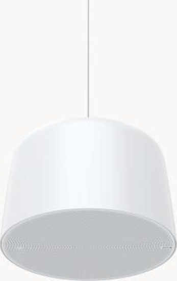 Изображение NET SPEAKER PENDANT/C1510 02389-001 AXIS
