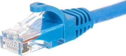 Attēls no NetRack patchcord RJ45, kat. 6 UTP, 0.25m niebieski - BZPAT0256B