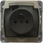 Изображение Ospel Gniazdo AS bryzgoszczelne z uziemieniem IP44 satyna light (GPH-1GZ/m/45/d)