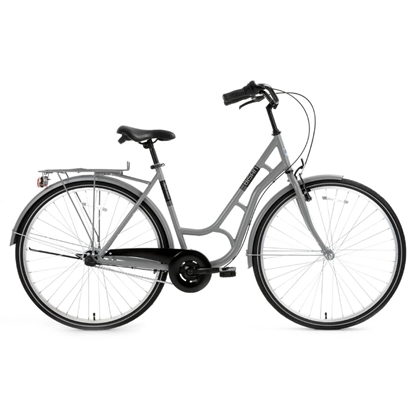 Изображение Pilsētas velosipēds Bisan Ambiance Grey/Black (Rata izmērs: 28 Rāmja izmērs: 20)