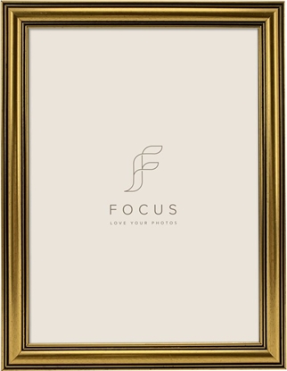 Изображение Ramka Focus Focus Holly Gold 30x40