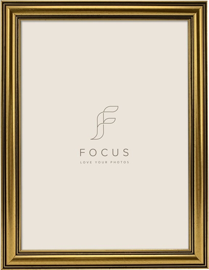 Изображение Ramka Focus Focus Holly Gold 30x40