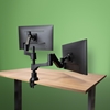 Picture of R-Go Tools Caparo 4 R-Go Caparo double monitor arm, with gas spring