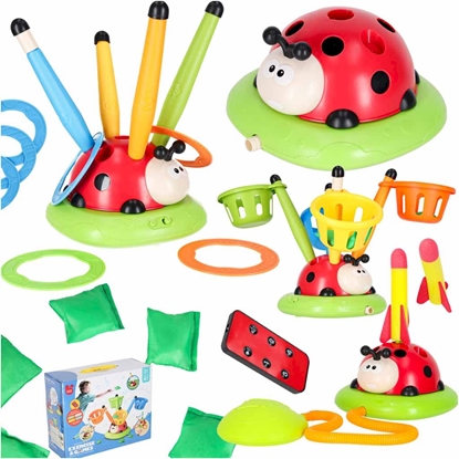 Изображение RoGer Active Game Ladybug 4in1