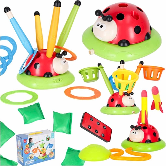 Изображение RoGer Active Game Ladybug 4in1