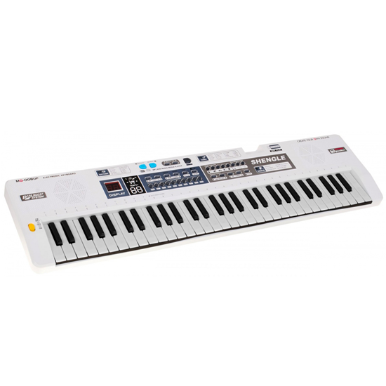 Picture of RoGer MQ-008UF Children's Synthesizer with microphone / 61 keys / 16 tones / radio