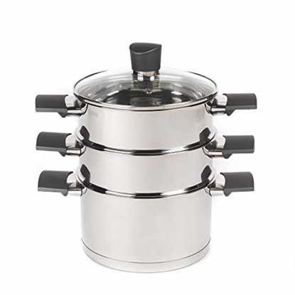 Picture of Russell Hobbs RH011701EU7 Excellence Steamer