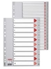 Picture of Sadalītājs dokumentiem Esselte A4 formāts, 1-10, plastikāta