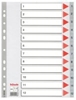 Picture of Sadalītājs dokumentiem Esselte A4 formāts, 1-12, plastikāta