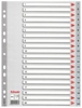Picture of Sadalītājs dokumentiem Esselte A4 formāts, 1-31, plastikāta