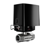 Picture of SMART VALVE 1/2"/WATERSTOP BLACK 52270 AJAX