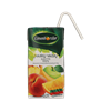 Picture of Sula ELMENHORSTER Dažādu augļu 100%, ar vit., 0.2l