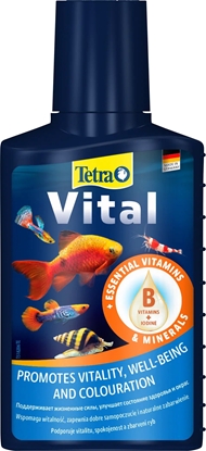 Attēls no Tetra TETRA Vital 100 ml Preparat witaminowy dla ryb i rolin do akwarium