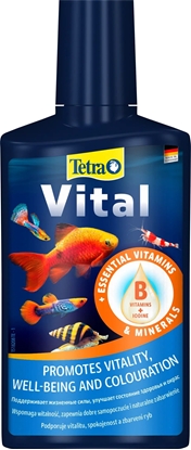 Attēls no Tetra TETRA Vital 250 ml Preparat witaminowy dla ryb i rolin do akwarium