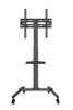 Picture of TV stiprinājums Gembird 32" - 55" TV floor stand with caster wheels