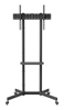 Picture of TV stiprinājums Gembird 37" - 70" TV floor stand with caster wheels