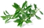 Picture of NONAME