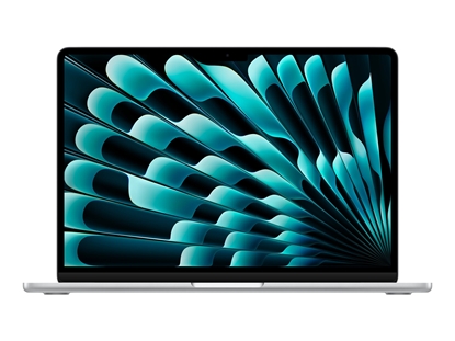 Picture of Apple MacBook Air 13" Apple M5 10C CPU, 10C GPU/24GB/1TB SSD/Silver/SWE | Apple
