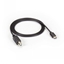 Изображение BLACKBOX USB 3.1 CABLE - TYPE C MALE TO USB 2.0 TYPE B MALE, 1-M - USB 3.1 TO USB 2.0, 1M, TYPE C M/TYPE B M