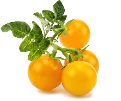 Attēls no NONAME