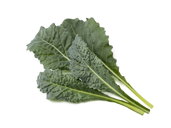 Picture of NONAME