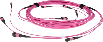 Attēls no ACT 15M 2X MTP(F) 50/125 OM4 PB TR