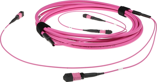 Picture of ACT 50M 2X MTP(F) 50/125 OM4 PB TR