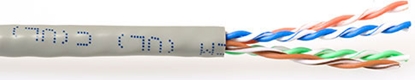 Attēls no ACT C6 U/UTP PATCH PVC IVORY  305M