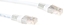 Изображение ACT CAT6 U/UTP LSZH WHITE 1.00M