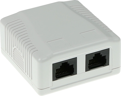Изображение ACT WALL MOUNTBOX C5E 2 PRT UNSH