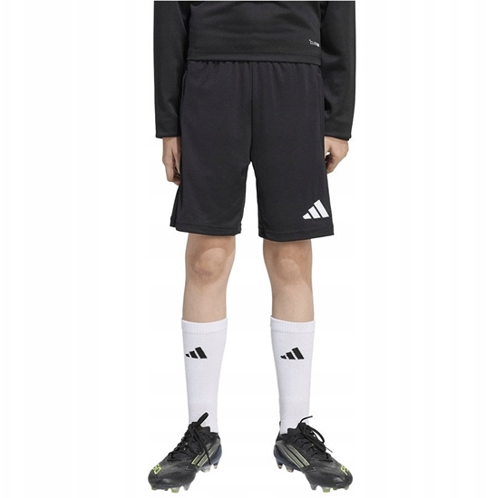 Picture of Adidas Spodenki adidas ENTRADA 26 Training Short Junior JZ9131