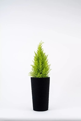 Picture of Adoni Doniczka baweniana czarna z wkadem 22x36 cm  rcznie robiona (adoni-ba-blk-36)