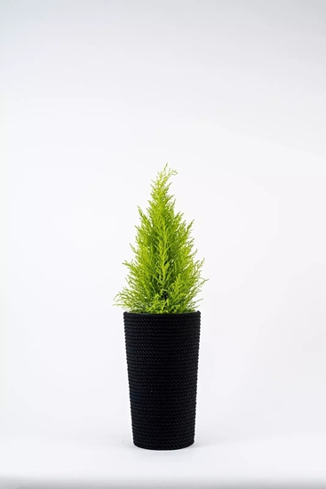 Picture of Adoni Doniczka baweniana czarna z wkadem 22x36 cm  rcznie robiona (adoni-ba-blk-36)