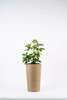 Picture of Adoni Doniczka jutowa boho z wkadem 36 cm  rcznie robiona (adoni36)