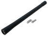 Изображение Antenna mast; 0.173m; M5,M6; outside; AM,FM; rubber mast