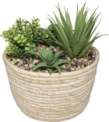 Picture of Atmosphera Sztuczna rolina doniczkowa 19 cm