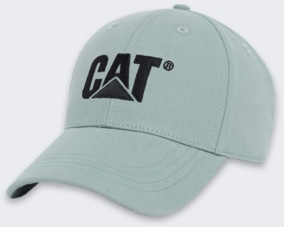 Изображение Austin Macauley Publishers Czapka Caterpillar Trademark GREEN