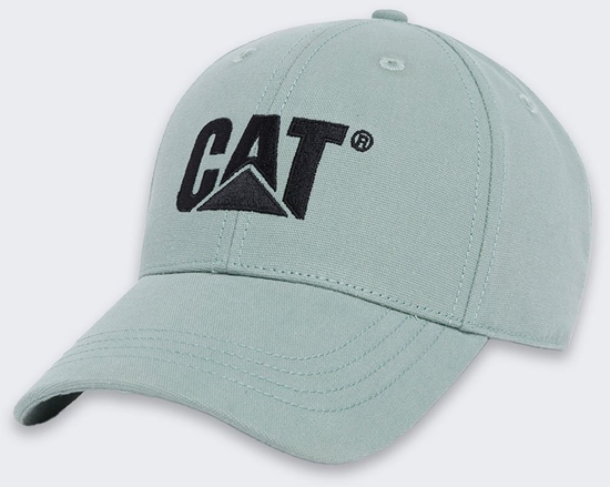 Picture of Austin Macauley Publishers Czapka Caterpillar Trademark GREEN