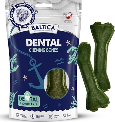 Attēls no Baltica Koci do ucia dbajce o zby 2 szt -
