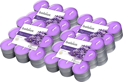 Picture of Bolsius Podgrzewacze zapachowe BOLSIUS True Scents 4H 72szt. LAWENDA